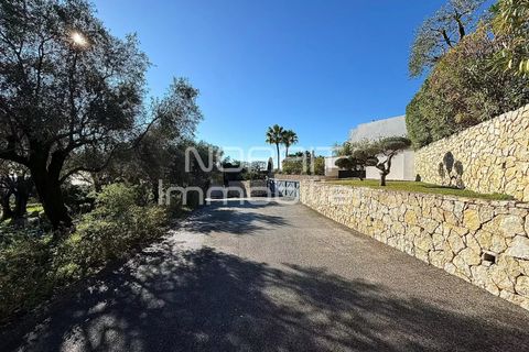 Terra em Nice, Alpes-Maritimes, Nice - € 1.980.000 | Ref: 85785875 - foto 15