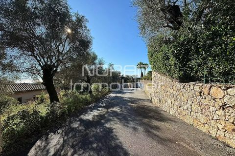 Terra em Nice, Alpes-Maritimes, Nice - € 1.980.000 | Ref: 85785875 - foto 16