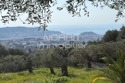 Terra em Nice, Alpes-Maritimes, Nice - € 1.980.000 | Ref: 85785875 - foto 12