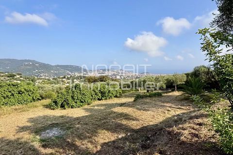 Terra em Nice, Alpes-Maritimes, Nice - € 1.980.000 | Ref: 85785875 - foto 11