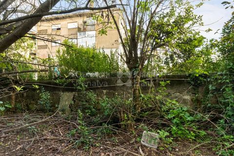 Helårsgrund i Paranhos, Porto, Paranhos - € 500.000 | Ref: PROP-031291 - foto 12
