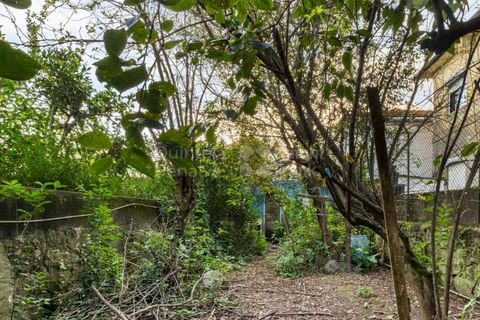 Helårsgrund i Paranhos, Porto, Paranhos - € 500.000 | Ref: PROP-031291 - foto 13