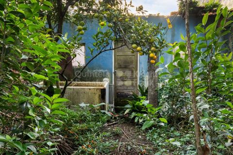 Helårsgrund i Paranhos, Porto, Paranhos - € 500.000 | Ref: PROP-031291 - foto 17