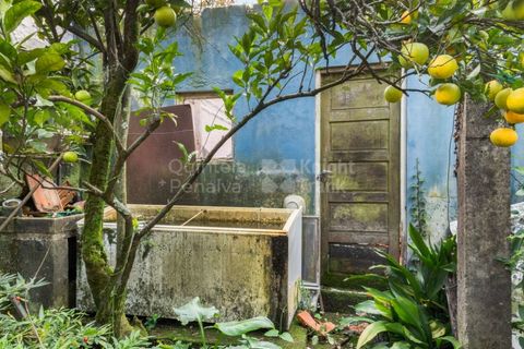 Helårsgrund i Paranhos, Porto, Paranhos - € 500.000 | Ref: PROP-031291 - foto 18