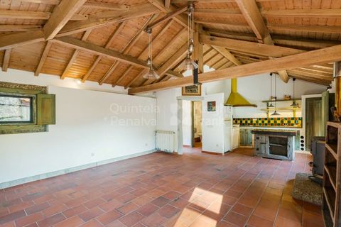 Farm i Penafiel, Porto, Penafiel - € 1.250.000 | Ref: PROP-030487 - foto 18