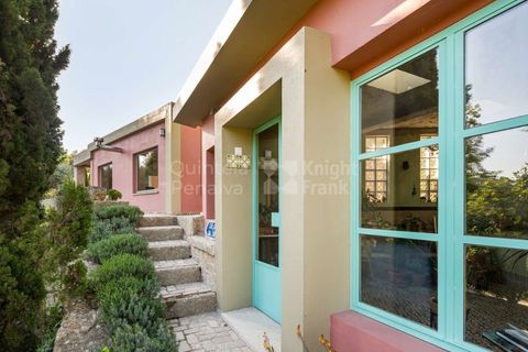 Farm i Penafiel, Porto, Penafiel - € 1.250.000 | Ref: PROP-030487 - foto 19