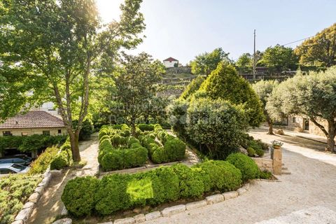 Farm i Penafiel, Porto, Penafiel - € 1.250.000 | Ref: PROP-030487 - foto 20