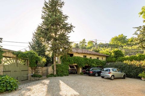 Farm i Penafiel, Porto, Penafiel - € 1.250.000 | Ref: PROP-030487 - foto 24