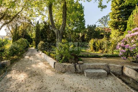Farm i Penafiel, Porto, Penafiel - € 1.250.000 | Ref: PROP-030487 - foto 25