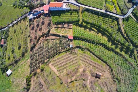 Farm i Cepoes, Viseu, Cepoes - € 595.000 | Ref: LMG_3973 - N - foto 1