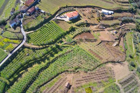 Farm i Cepoes, Viseu, Cepoes - € 595.000 | Ref: LMG_3973 - N - foto 3