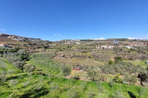 Farm i Cepoes, Viseu, Cepoes - € 595.000 | Ref: LMG_3973 - N - foto 8
