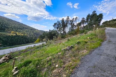 Tomt i Tarouca, Viseu, Tarouca - € 30 000 | Ref: LMG_3927 - N - foto 2