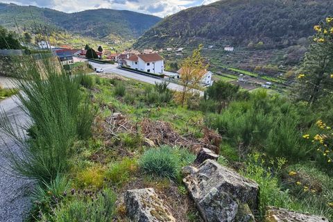 Tomt i Tarouca, Viseu, Tarouca - € 30 000 | Ref: LMG_3927 - N - foto 3