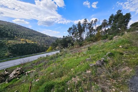 Tomt i Tarouca, Viseu, Tarouca - € 30 000 | Ref: LMG_3927 - N - foto 4