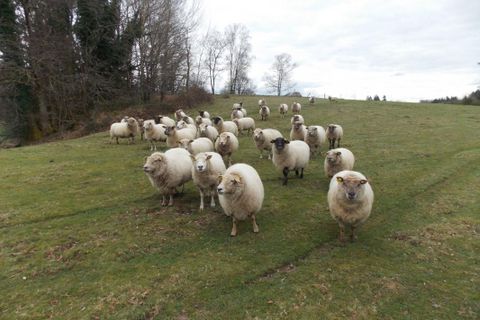 Farm hus i Marval, Haute-Vienne, Marval - € 498.000 | Ref: 12018369640 - foto 1