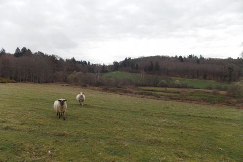 Farm hus i Marval, Haute-Vienne, Marval - € 498.000 | Ref: 12018369640 - foto 11