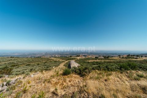 Helårsgrund i Seia, Guarda, Seia - € 295.000 | Ref: 382250035 - foto 11