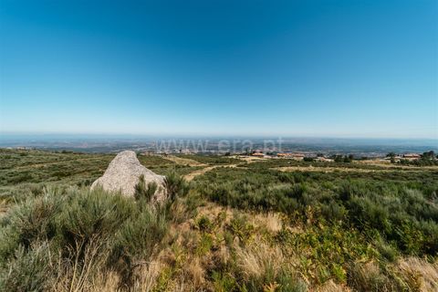 Helårsgrund i Seia, Guarda, Seia - € 295.000 | Ref: 382250035 - foto 12