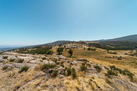 Helårsgrund i Seia, Guarda, Seia - € 295.000 | Ref: 382250035 - foto 15
