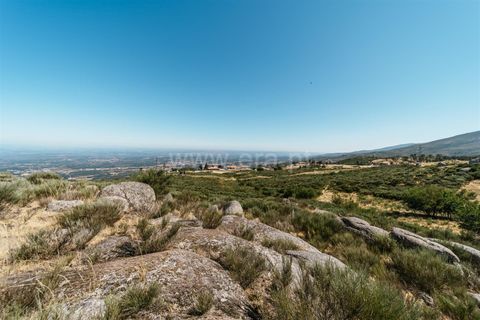Helårsgrund i Seia, Guarda, Seia - € 295.000 | Ref: 382250035 - foto 16