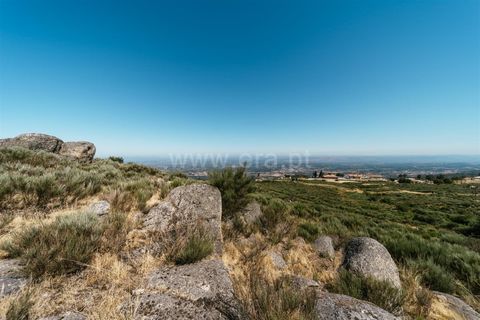 Helårsgrund i Seia, Guarda, Seia - € 295.000 | Ref: 382250035 - foto 17