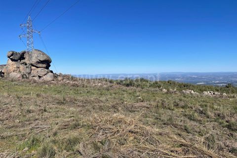 Helårsgrund i Seia, Guarda, Seia - € 60.000 | Ref: 382250036 - foto 12