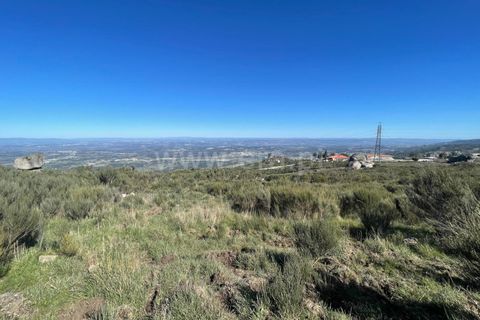 Helårsgrund i Seia, Guarda, Seia - € 60.000 | Ref: 382250036 - foto 13