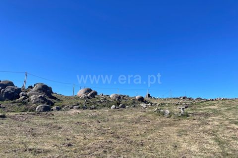 Helårsgrund i Seia, Guarda, Seia - € 60.000 | Ref: 382250036 - foto 15