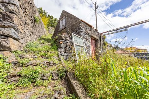 Terra a Camara de Lobos, Madeira, Camara de Lobos - € 275.000 | Ref: 11544-HF - foto 2