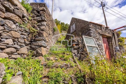 Terra a Camara de Lobos, Madeira, Camara de Lobos - € 275.000 | Ref: 11544-HF - foto 3