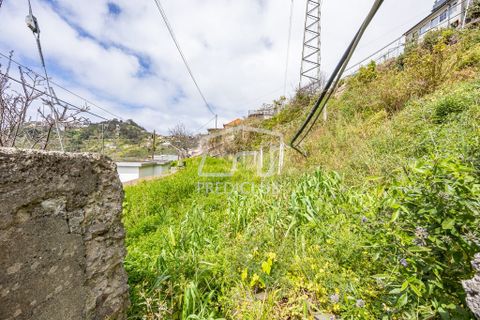 Terra a Camara de Lobos, Madeira, Camara de Lobos - € 275.000 | Ref: 11544-HF - foto 4
