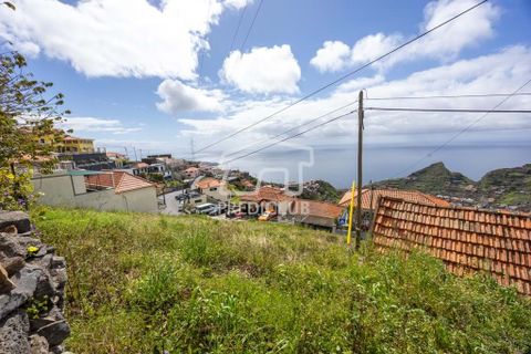Terra a Camara de Lobos, Madeira, Camara de Lobos - € 275.000 | Ref: 11544-HF - foto 5