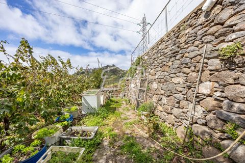 Terra a Camara de Lobos, Madeira, Camara de Lobos - € 275.000 | Ref: 11544-HF - foto 7