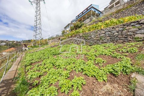 Terra a Camara de Lobos, Madeira, Camara de Lobos - € 275.000 | Ref: 11544-HF - foto 8