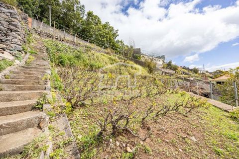 Terra a Camara de Lobos, Madeira, Camara de Lobos - € 275.000 | Ref: 11544-HF - foto 9