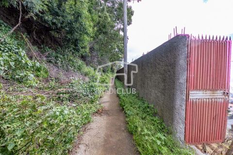 Terra a Camara de Lobos, Madeira, Camara de Lobos - € 275.000 | Ref: 11544-HF - foto 10