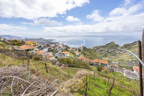 Terra a Camara de Lobos, Madeira, Camara de Lobos - € 275.000 | Ref: 11544-HF - foto 11