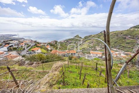 Terra a Camara de Lobos, Madeira, Camara de Lobos - € 275.000 | Ref: 11544-HF - foto 12