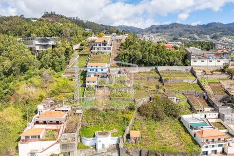 Terra a Camara de Lobos, Madeira, Camara de Lobos - € 275.000 | Ref: 11544-HF - foto 13
