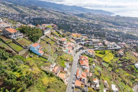 Terra a Camara de Lobos, Madeira, Camara de Lobos - € 275.000 | Ref: 11544-HF - foto 14
