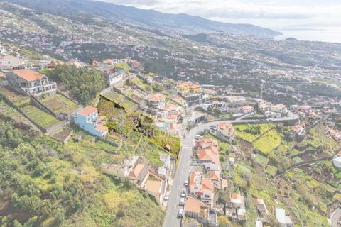 Terra a Camara de Lobos, Madeira, Camara de Lobos - € 275.000 | Ref: 11544-HF - foto 16