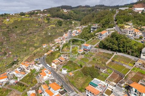 Terra a Camara de Lobos, Madeira, Camara de Lobos - € 275.000 | Ref: 11544-HF - foto 17