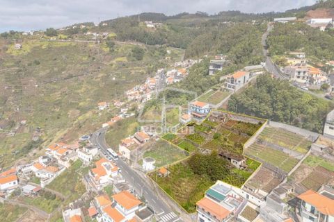 Terra a Camara de Lobos, Madeira, Camara de Lobos - € 275.000 | Ref: 11544-HF - foto 18
