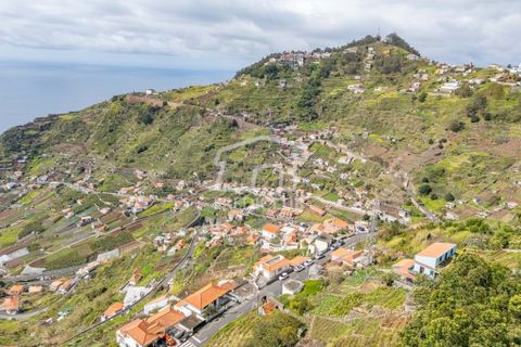 Terra a Camara de Lobos, Madeira, Camara de Lobos - € 275.000 | Ref: 11544-HF - foto 19