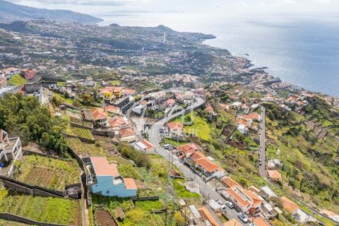 Terra a Camara de Lobos, Madeira, Camara de Lobos - € 275.000 | Ref: 11544-HF - foto 20