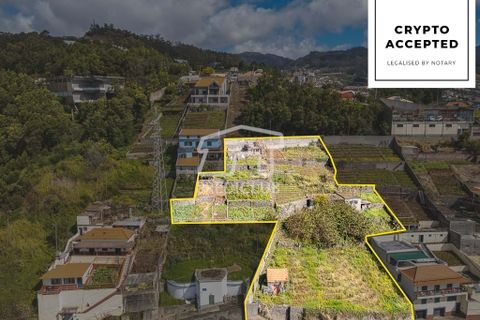 Terra a Camara de Lobos, Madeira, Camara de Lobos - € 275.000 | Ref: 11544-HF - foto 1