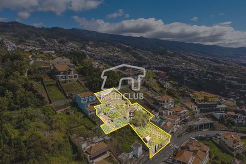 Terra a Camara de Lobos, Madeira, Camara de Lobos - € 275.000 | Ref: 11544-HF - foto 15