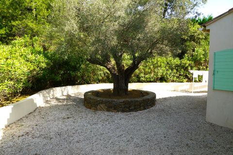 Villa i Gassin, Var, Gassin - € 2.570.000 | Ref: 1524vm - foto 9