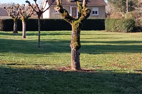 Villa a Prayssac, Lot, Prayssac - € 249.000 | Ref: LVMA90000087 - foto 13